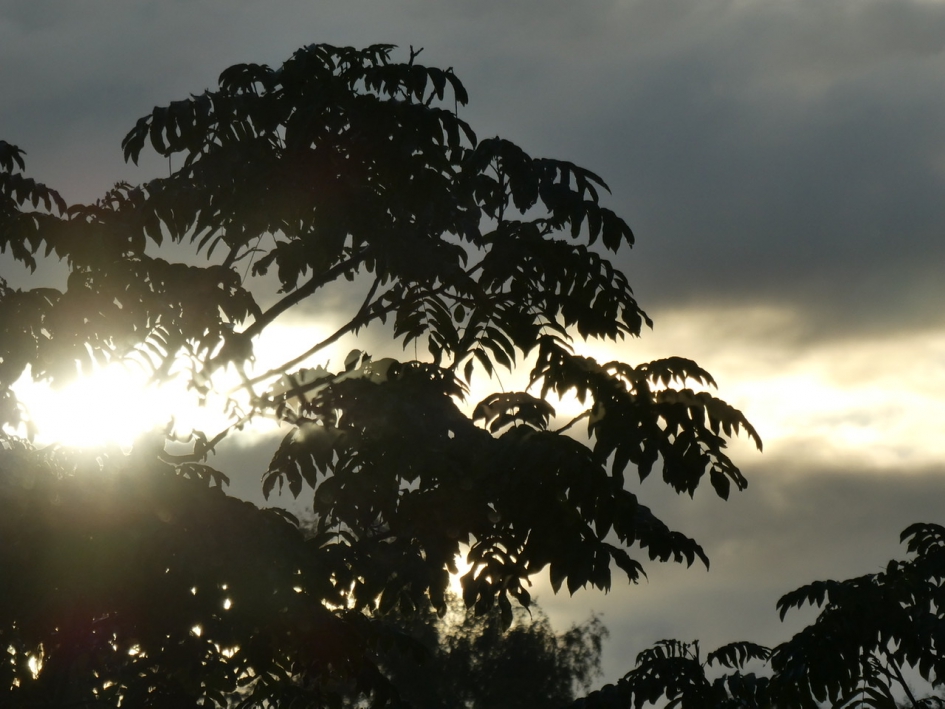 Vanmorgen, half negen - Weer en landschap - 