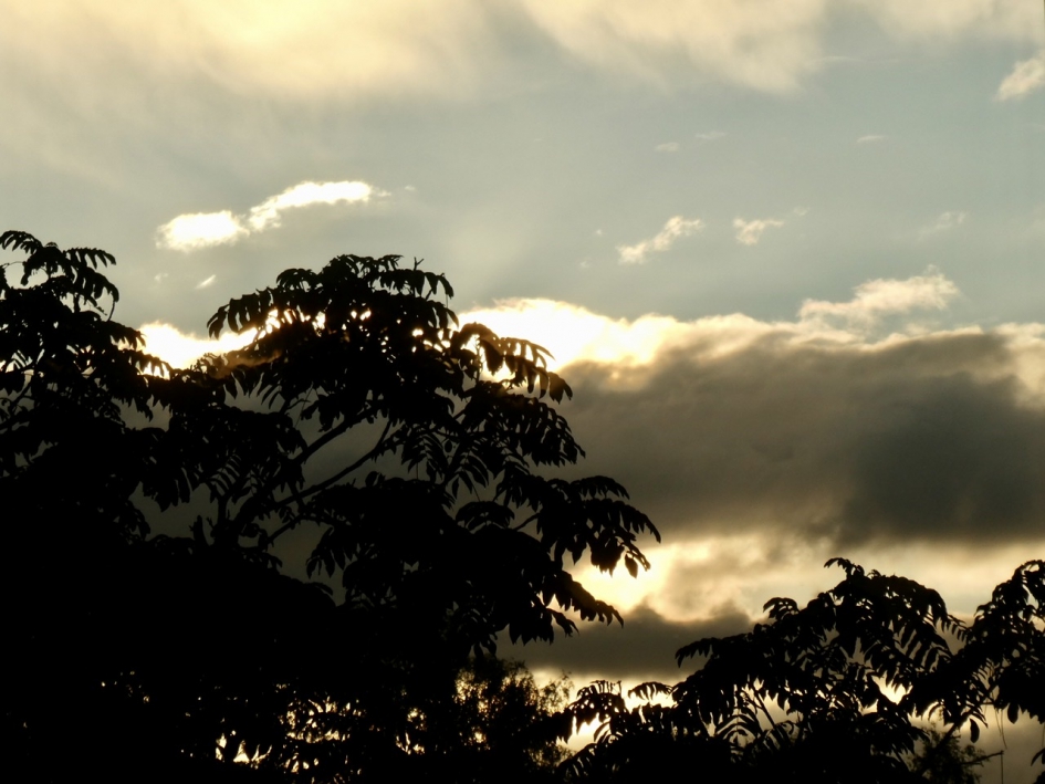 Vanmorgen - Weer en landschap - 