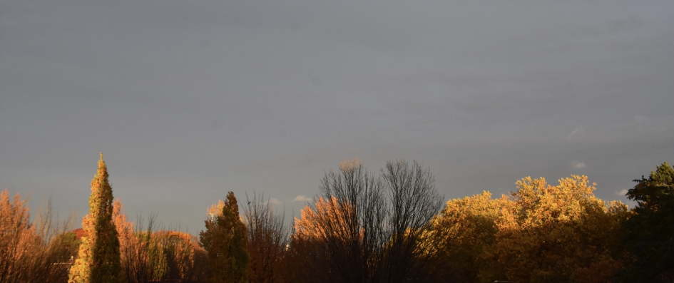 Vijf uur - Weer en landschap - 