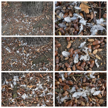 Wat is hier gebeurd?