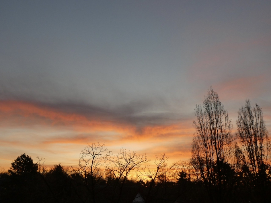 8:00 uur - Weer en landschap - 