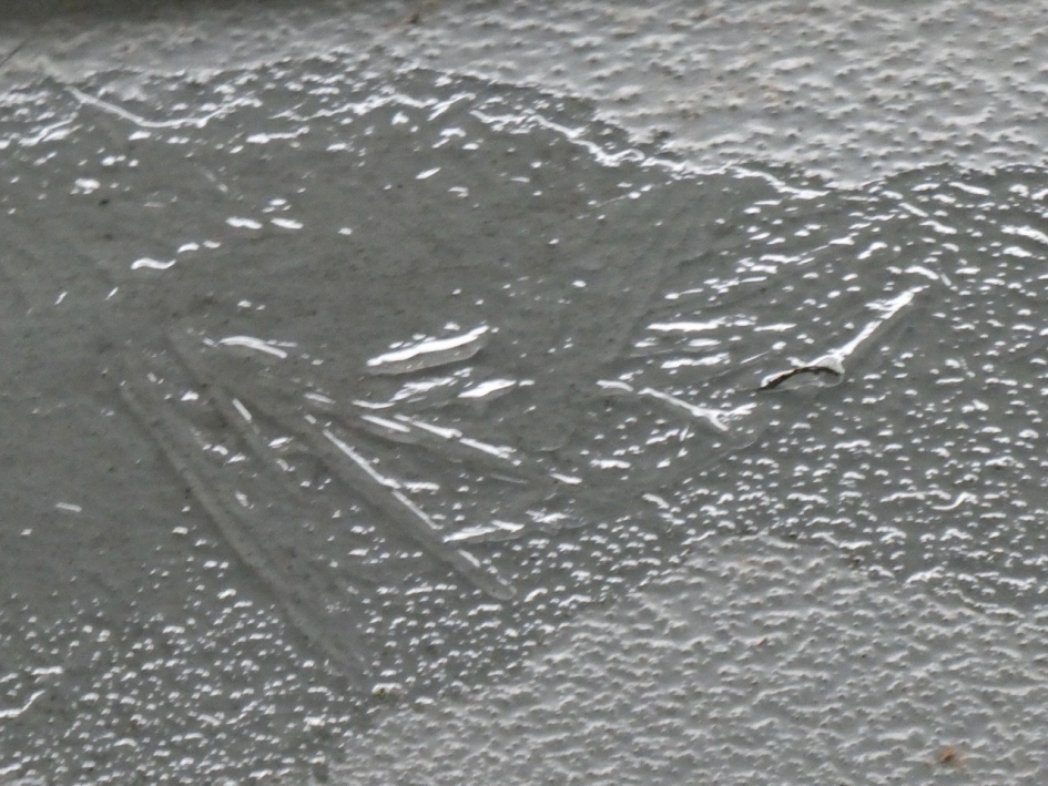 Bevroren - Weer en landschap - 