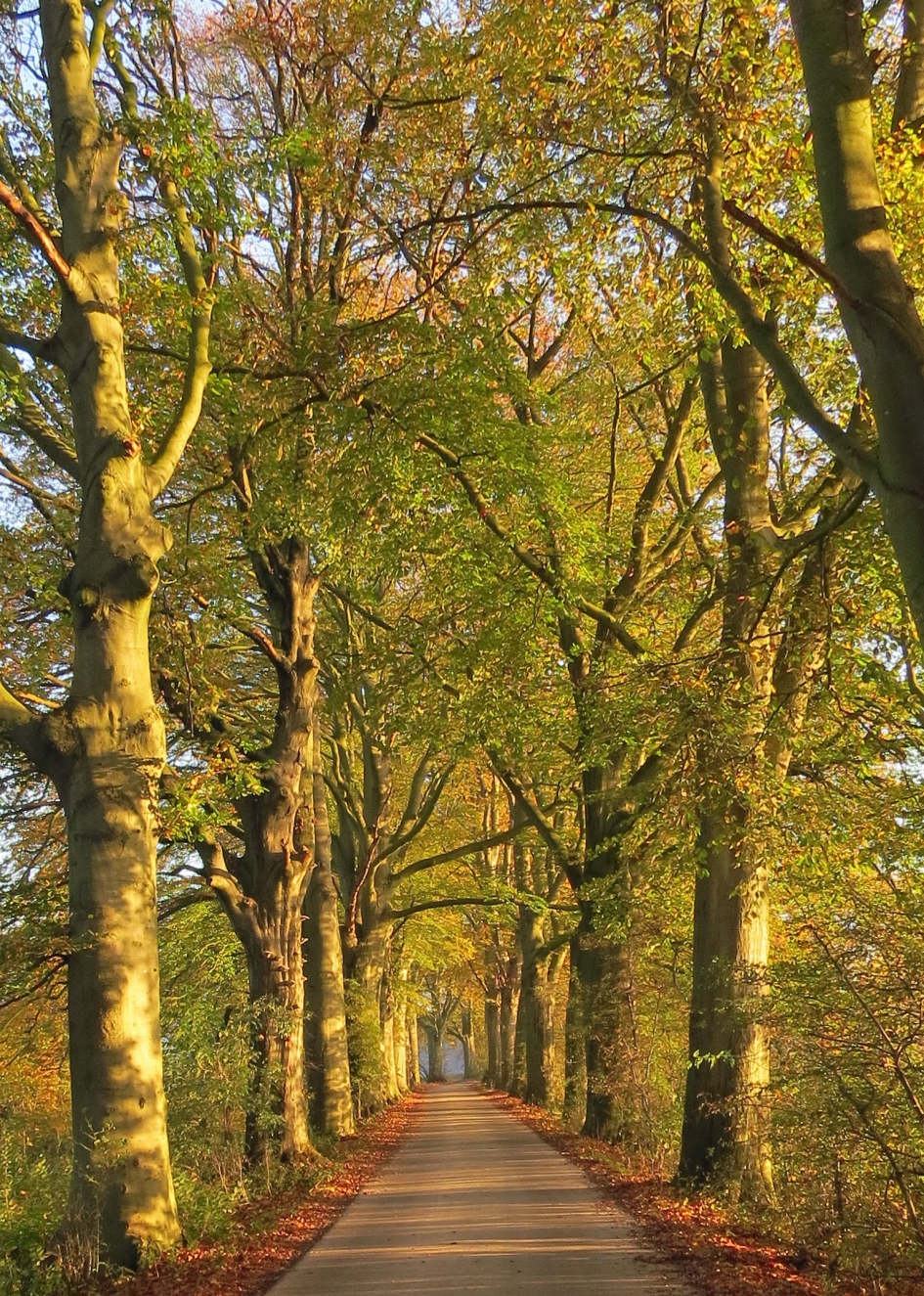 Doorkijkje - Weer en landschap - 