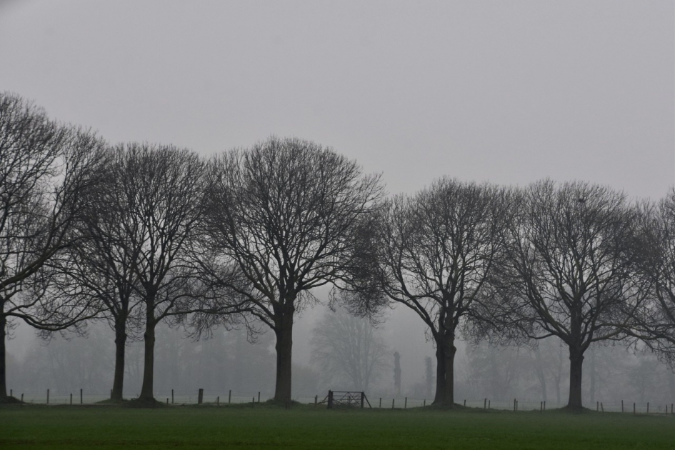 Een kleine wereld vanmorgen - Weer en landschap - 