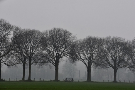 Een kleine wereld vanmorgen