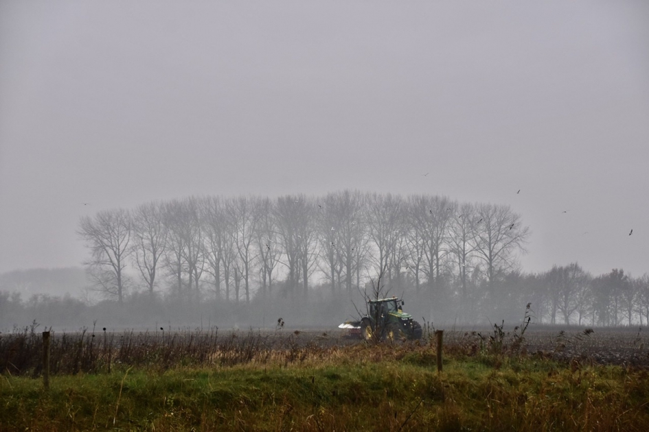 Frezen in de mist - Weer en landschap - 