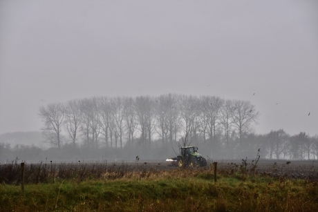 Frezen in de mist