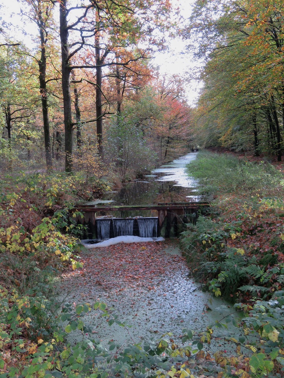 Herfst - Weer en landschap - 