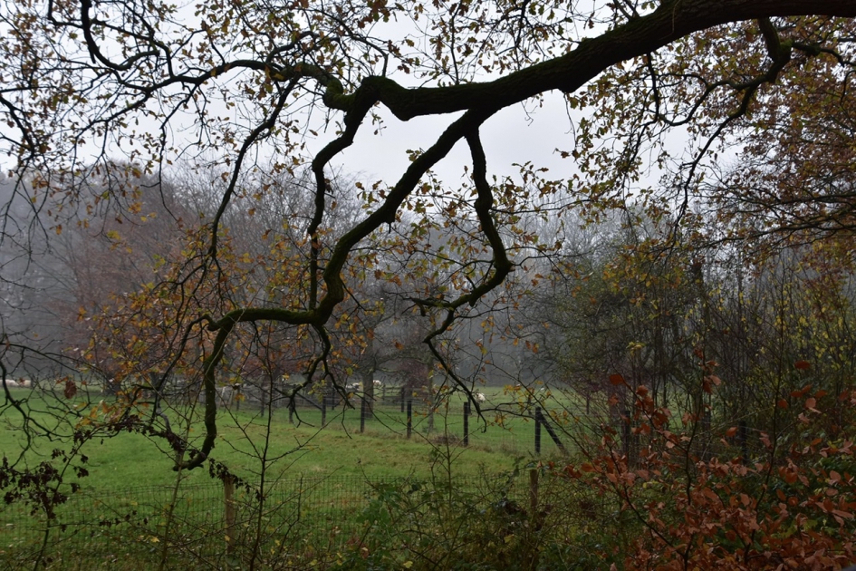 Langs de Tiendweg - Weer en landschap - 