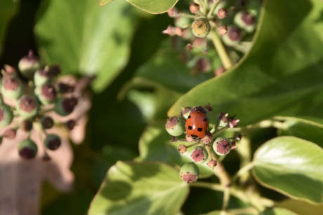 Nog steeds in het zonnetje