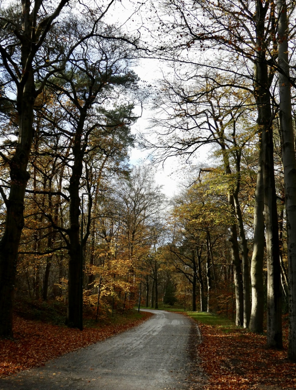 Parallelweg - Weer en landschap - 