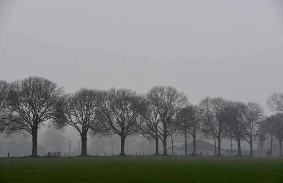 Tiendweg - Weer en landschap - 