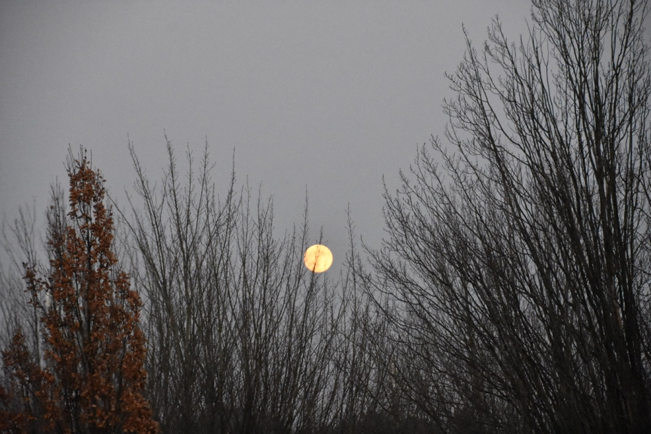 Volle maan - Weer en landschap - 