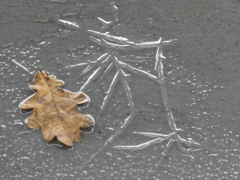 Vorst - Weer en landschap - 