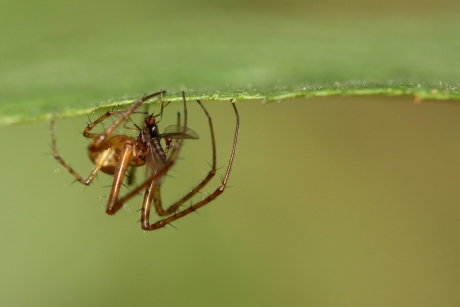 Wrong time, wrong place.........