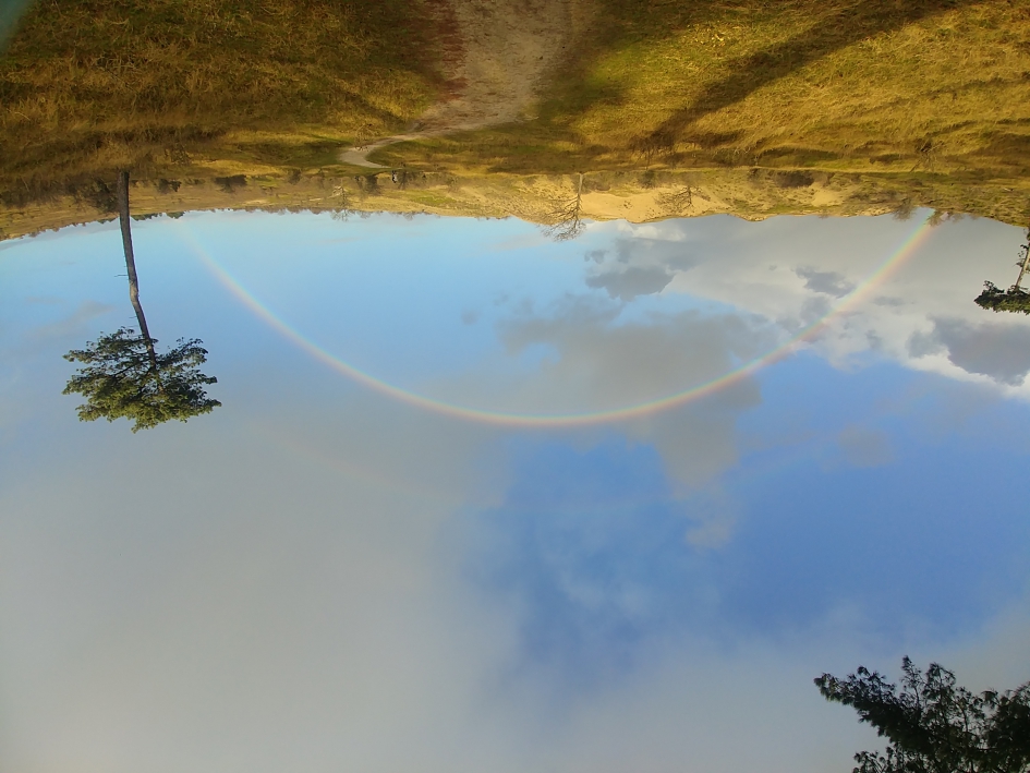 Dat wordt een mooi 2021 - Weer en landschap - 