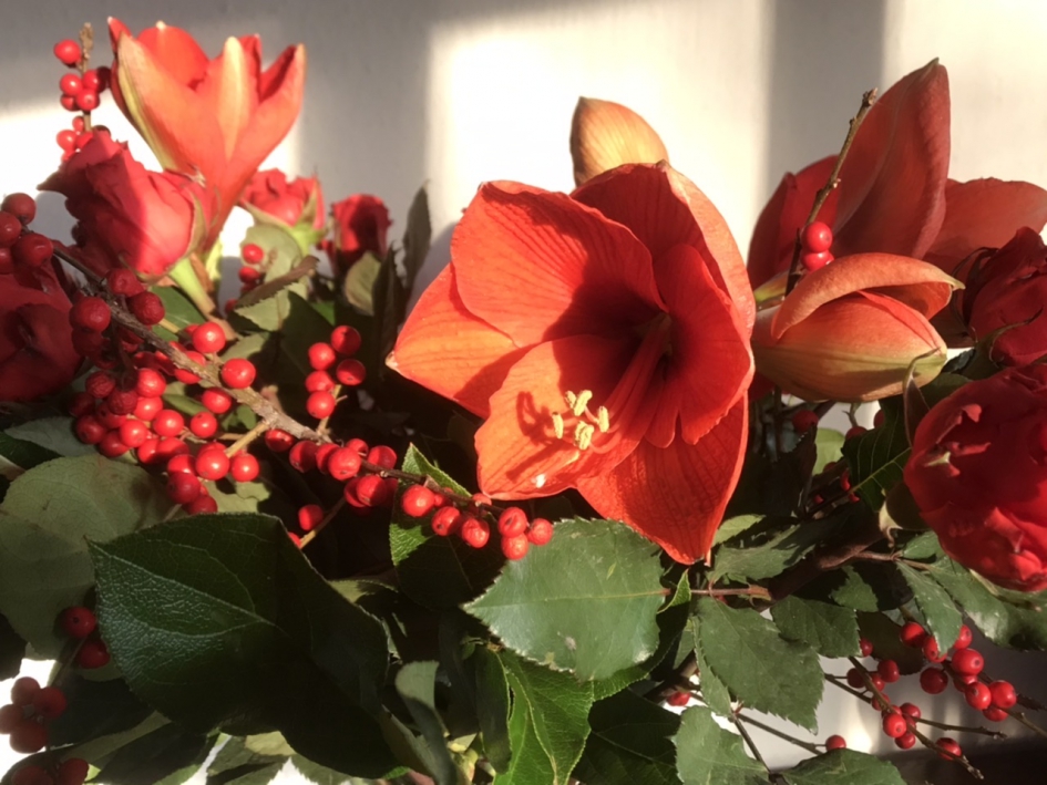 Kerstboeket - Planten - 