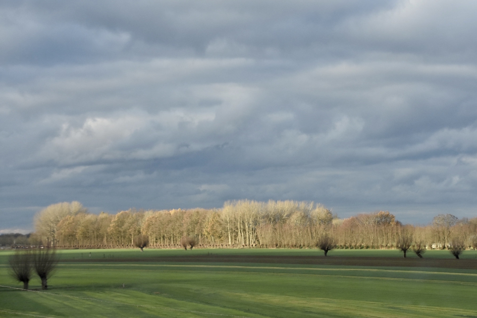 Zon op de bomen.. - Weer en landschap - 