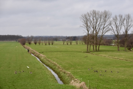Vanaf de Lekdijk richting Langbroek
