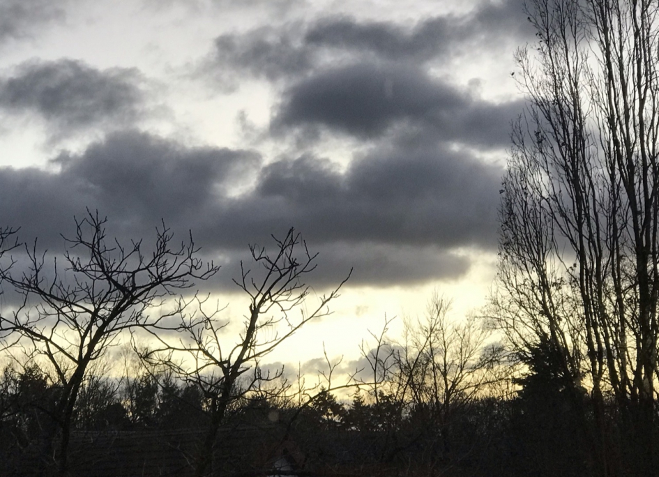 Bewolking vanmorgen om 8:30 uur - Weer en landschap - 