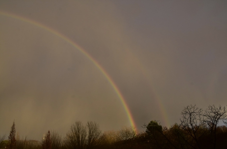 Dubbele regenboog