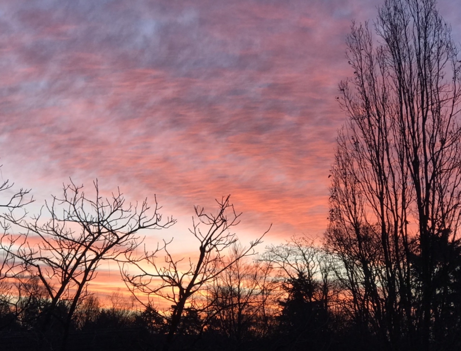 Gisterenmorgen 8:30 uur - Weer en landschap - 