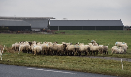 Hollen naar de andere wei...