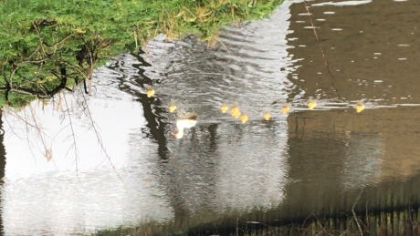 Klimaatontwrichting 3.0 x 4!