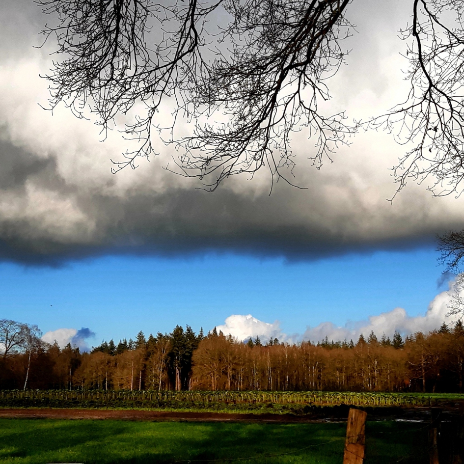 Licht vs Donker - Weer en landschap - 