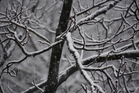 Takken met sneeuw vanaf balkon