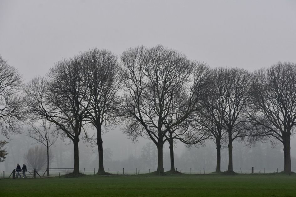 Tiendweg - Weer en landschap - 