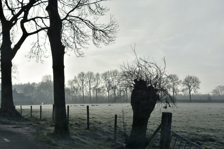 Tiendweg - Weer en landschap - 