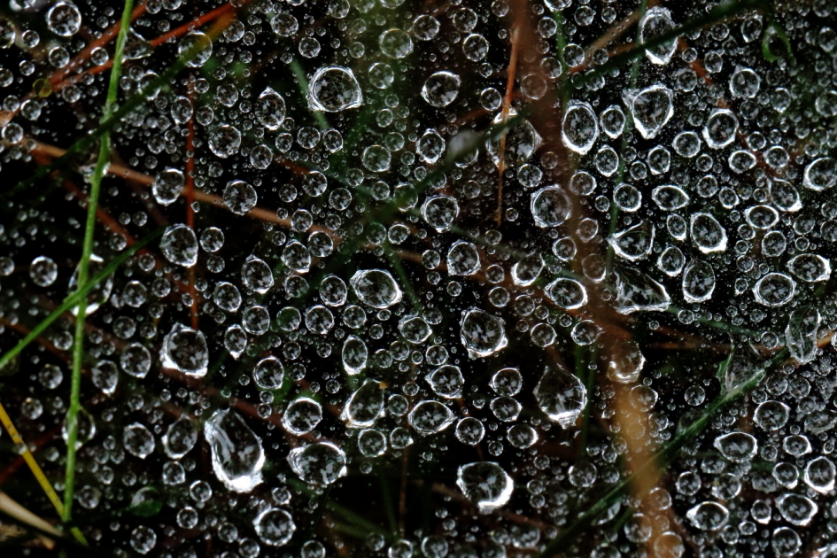 druppels - Weer en landschap - 