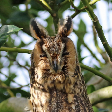 Genieten van het zonnetje