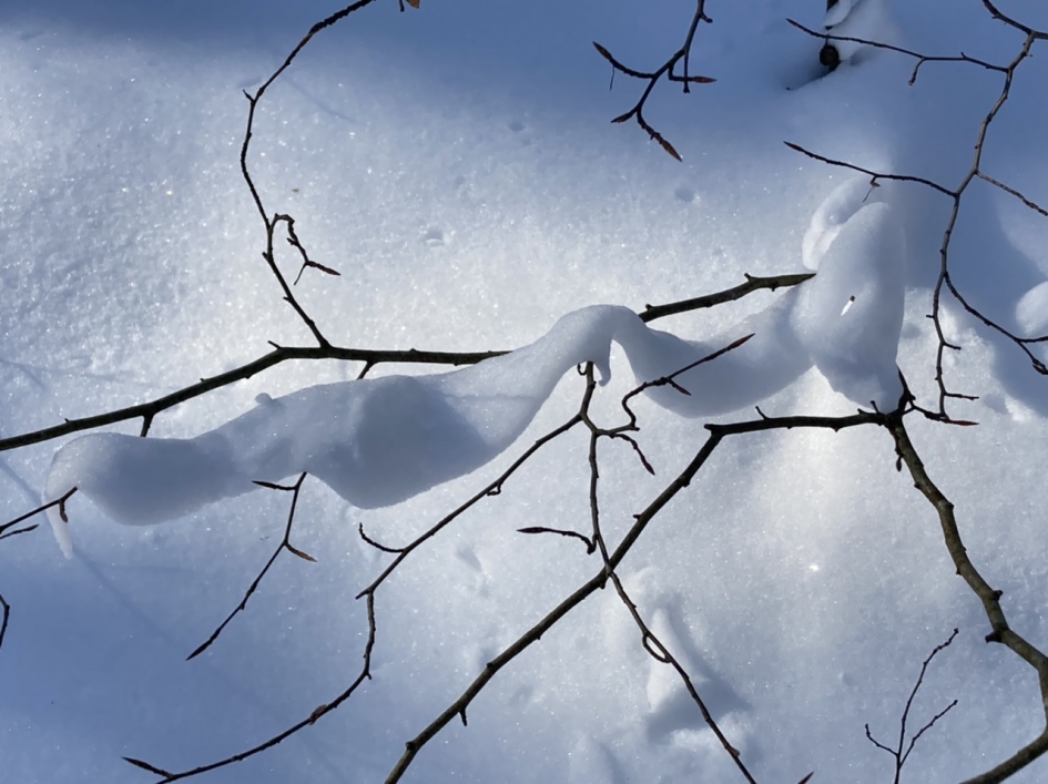 Guirlandes van sneeuw - Weer en landschap - 