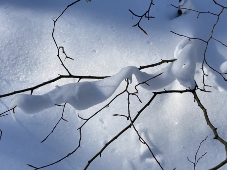 Guirlandes van sneeuw