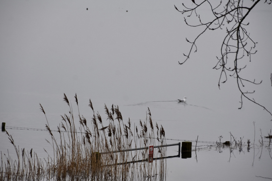 Hek - Weer en landschap - 