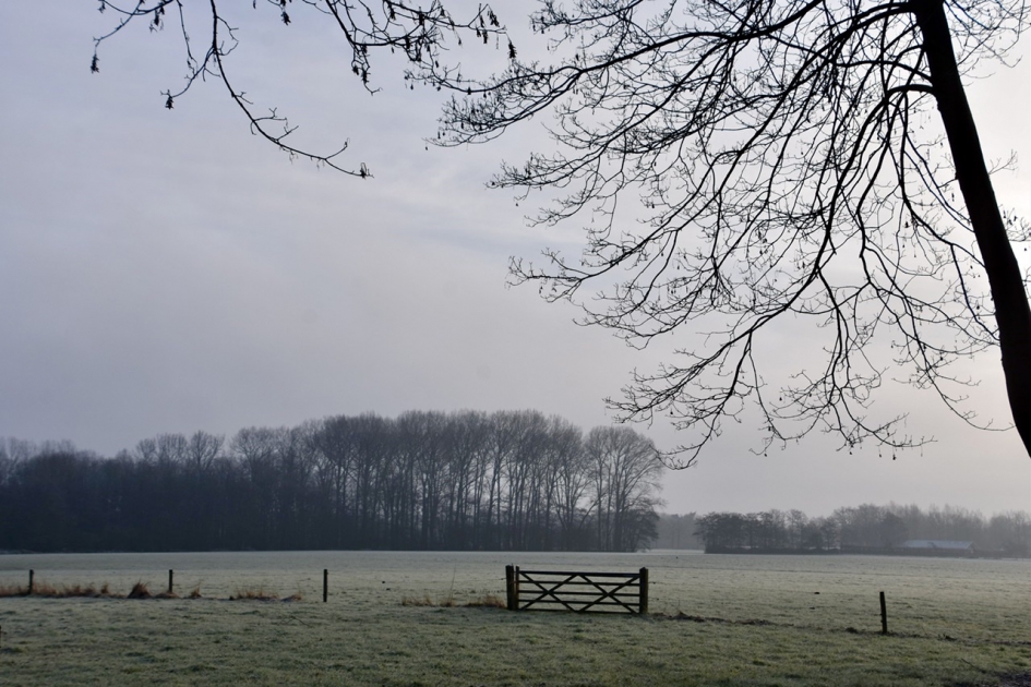 Koud en koel - Weer en landschap - 