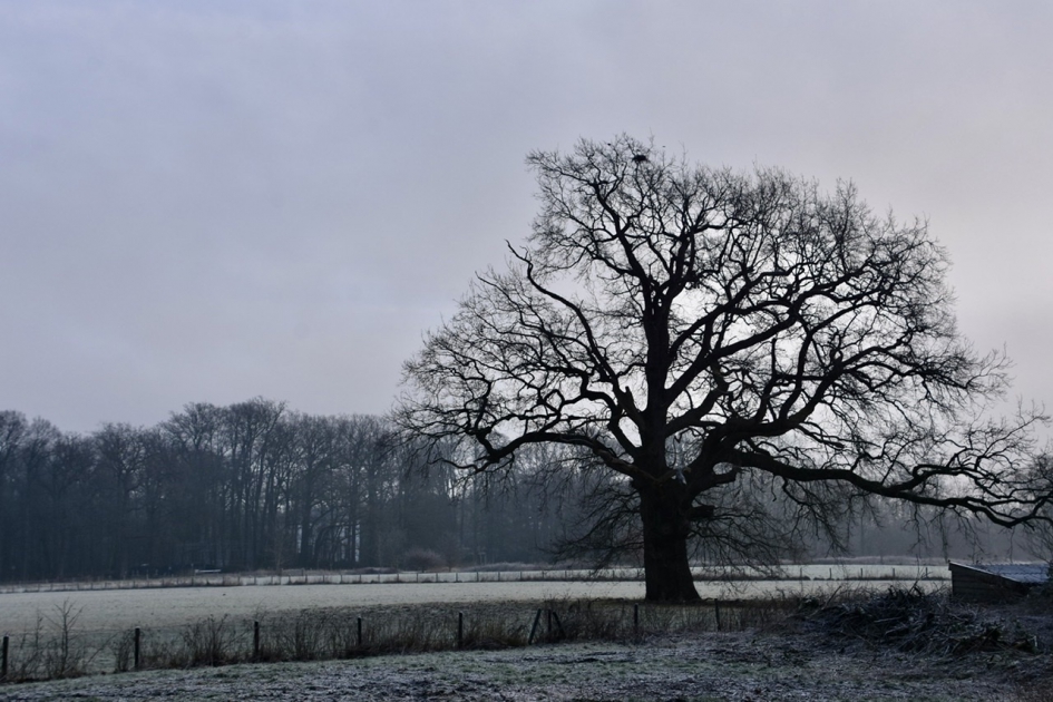Langs de Tiendweg - Weer en landschap - 