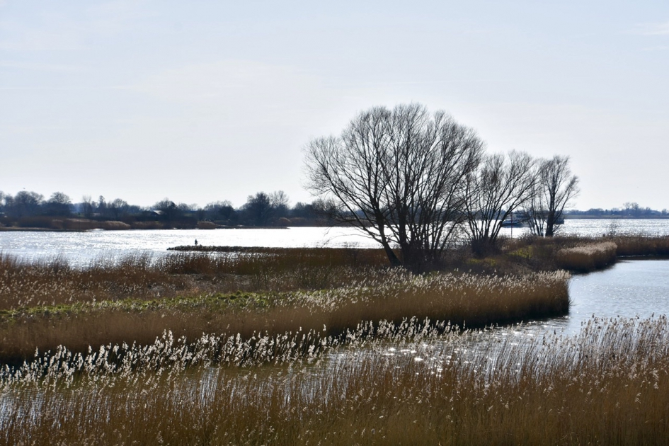 Langs de Lek - Weer en landschap - 