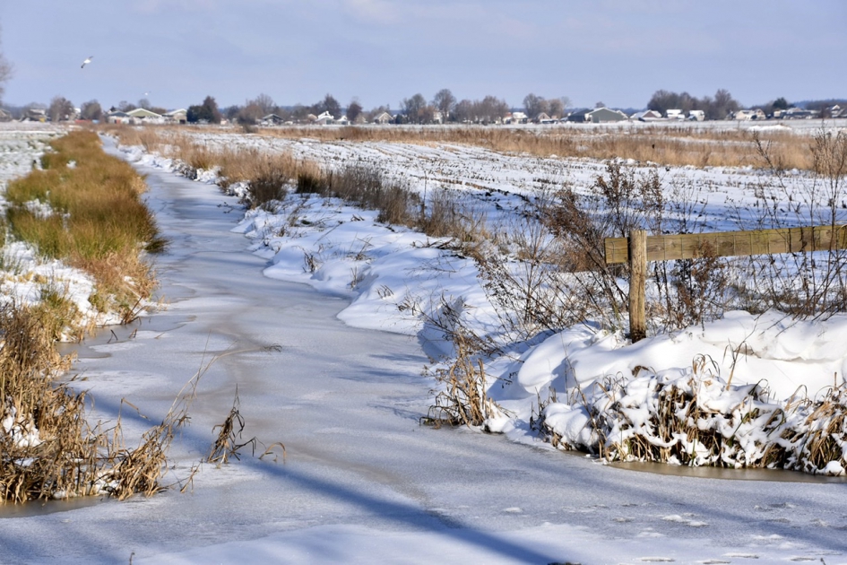 Besneeuwd weiland en ijs op de sloot - Weer en landschap - 