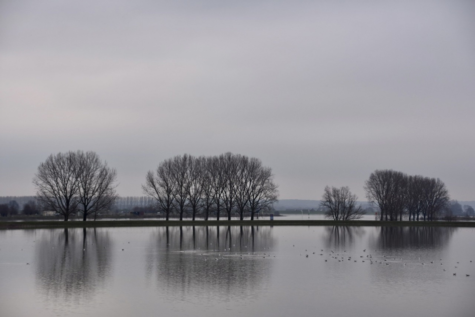 Nederrijn - Weer en landschap - 