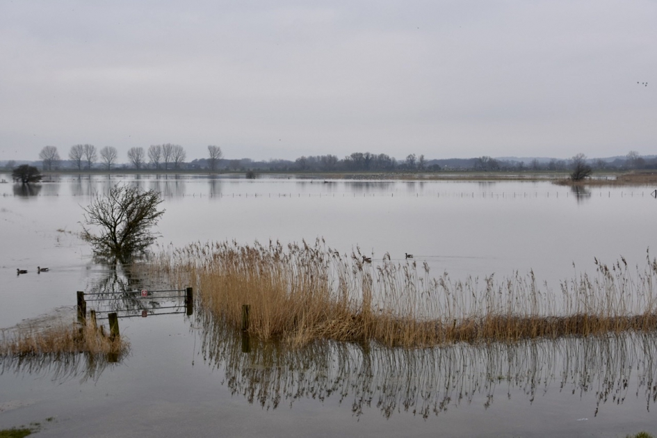 Nederrijn - Weer en landschap - 