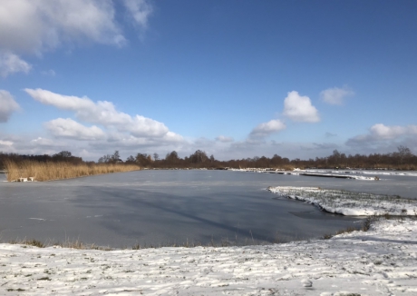 Petgaten in Westbroek