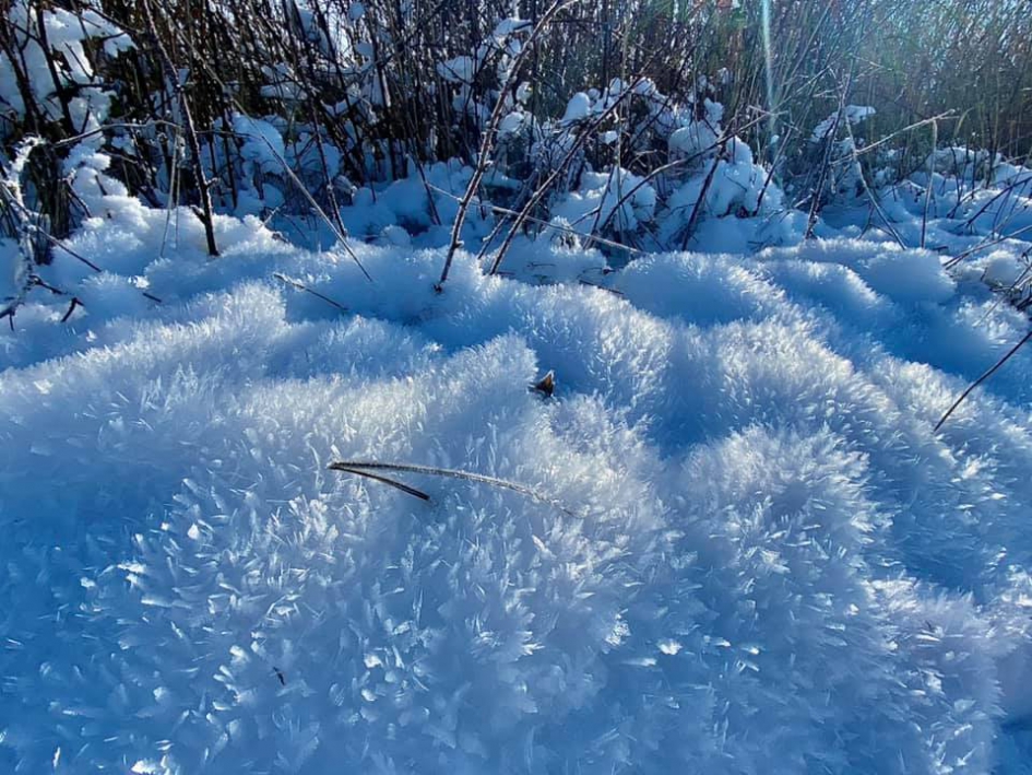 Ruige rijp - Weer en landschap - 