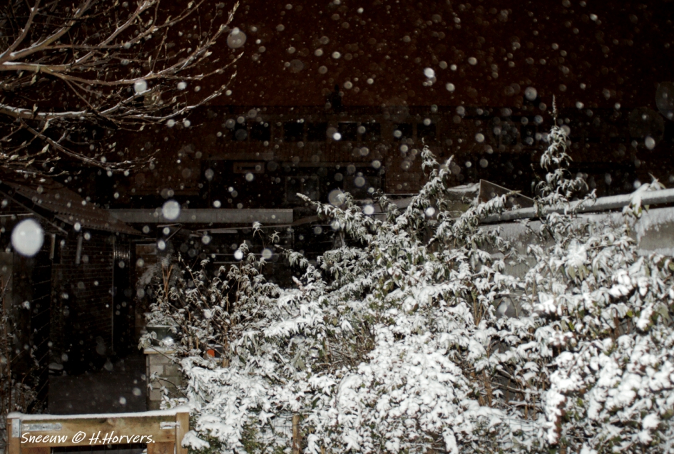 Sneeuw - Weer en landschap - Sneeuw
