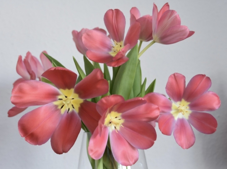 Tulpen boeket