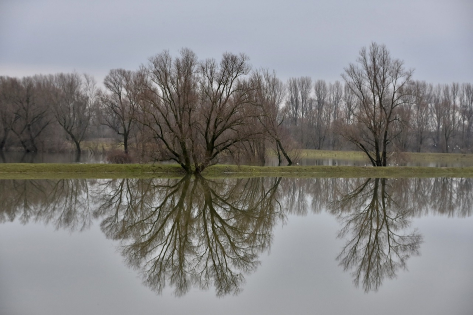 Uiterwaarden langs de Nederrijn - Weer en landschap - 