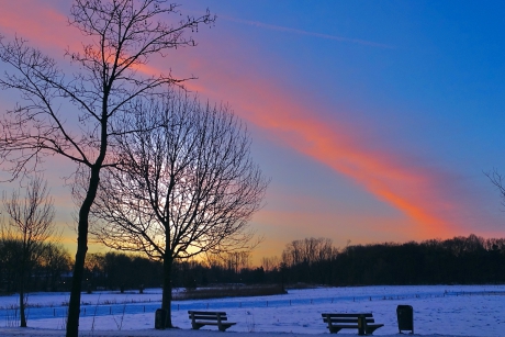 Vroege Ochtendstemming