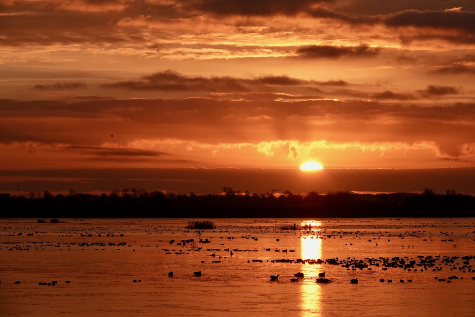 zonsopkomst - Weer en landschap - 